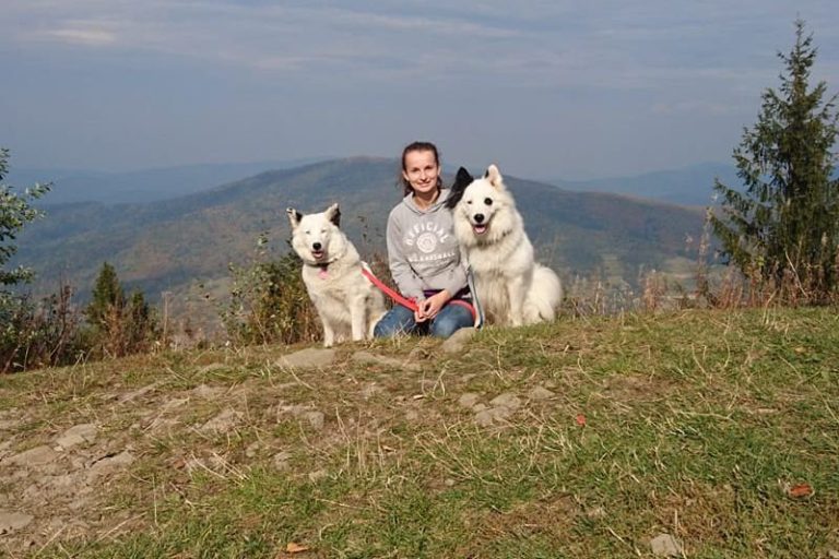 Dogtrekking