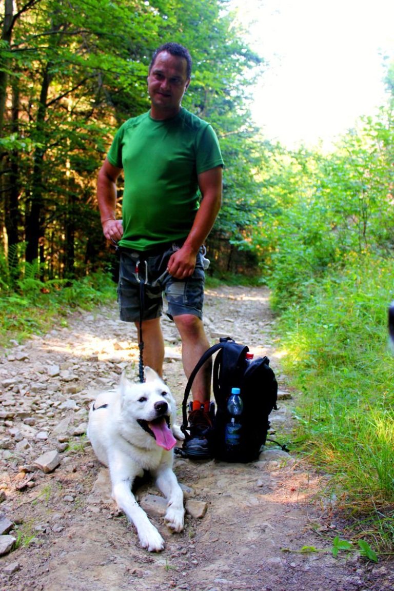 Dogtrekking – zdjęcie 7