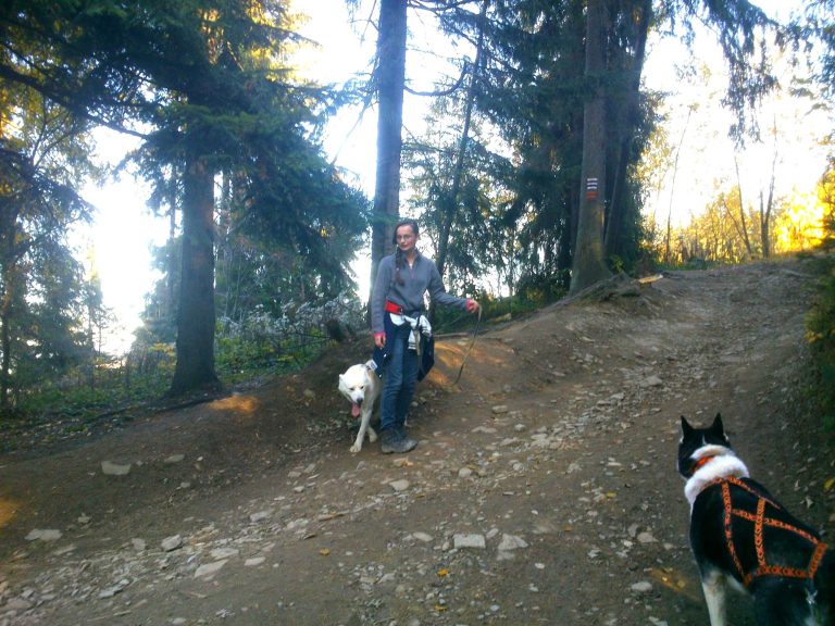 Dogtrekking – zdjęcie 3