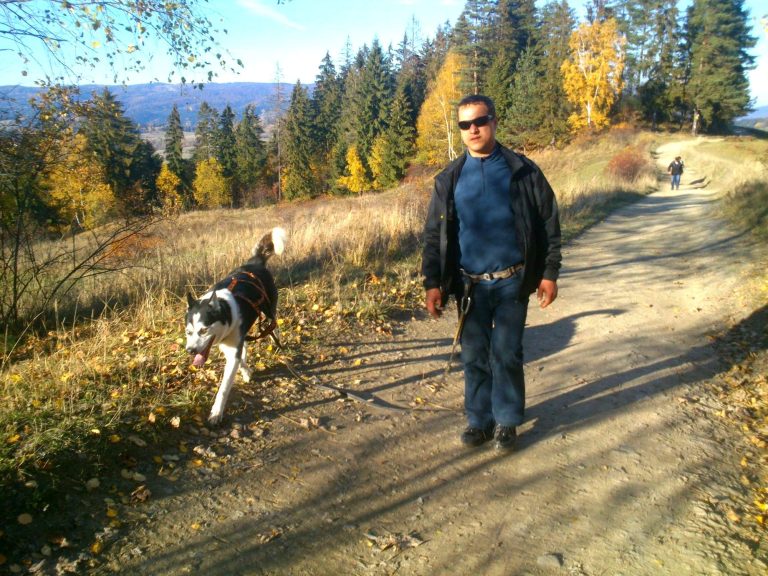 Dogtrekking – zdjęcie 4