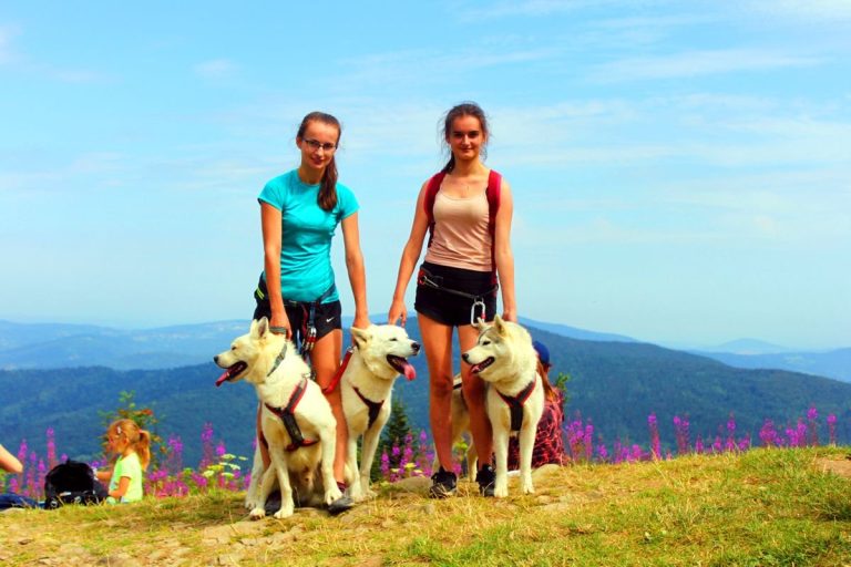 Dogtrekking – zdjęcie 10