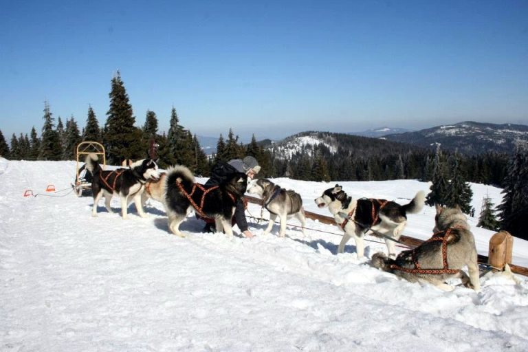 Wyprawy w góry