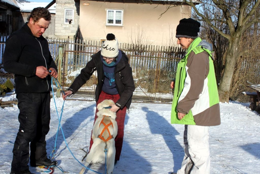 Projekt Zostań Musherem